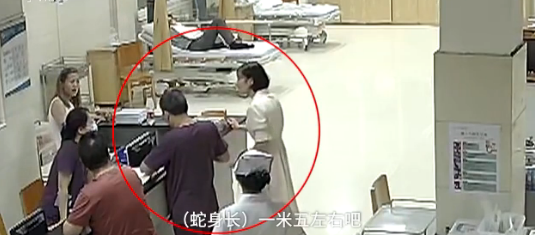 20岁女子凌晨被蛇咬伤,手抓活蛇去就医,女子:放生的时候被咬了