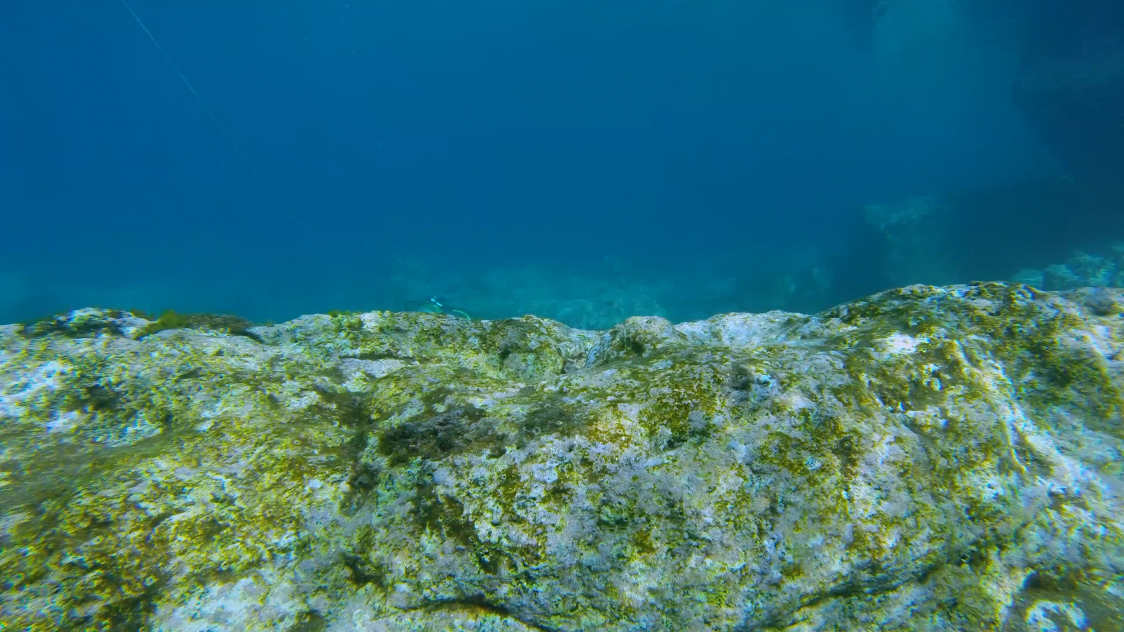 看看风景 海里