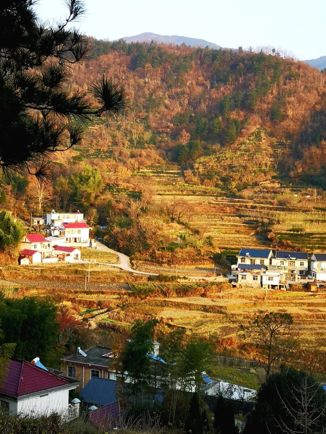 「美图欣赏」美丽乡村行一一岳西温泉镇桃岭村!