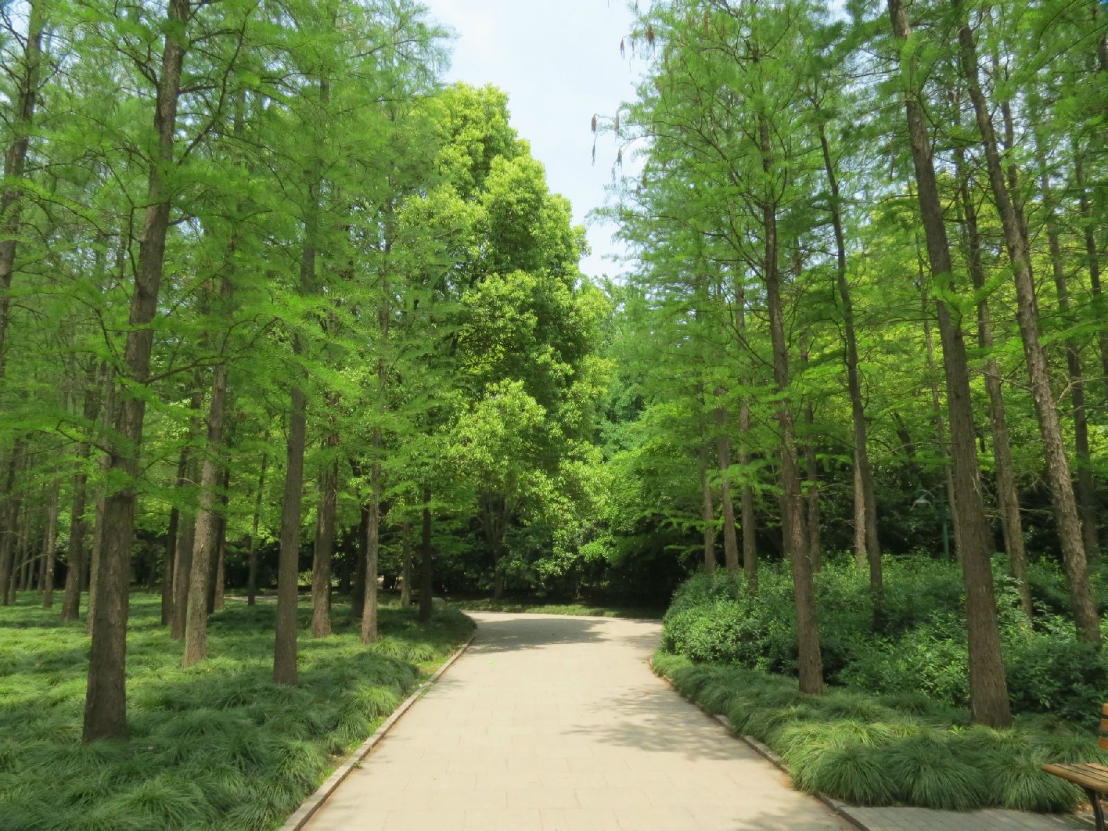 除了上海市共青森林公园,广州百万葵园,门票很实惠的风景区还有这些呢