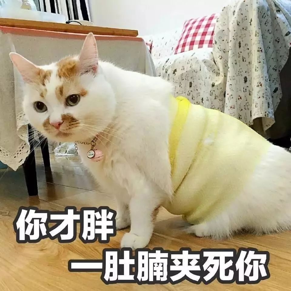 任人宰割 baijiahao.baidu.com