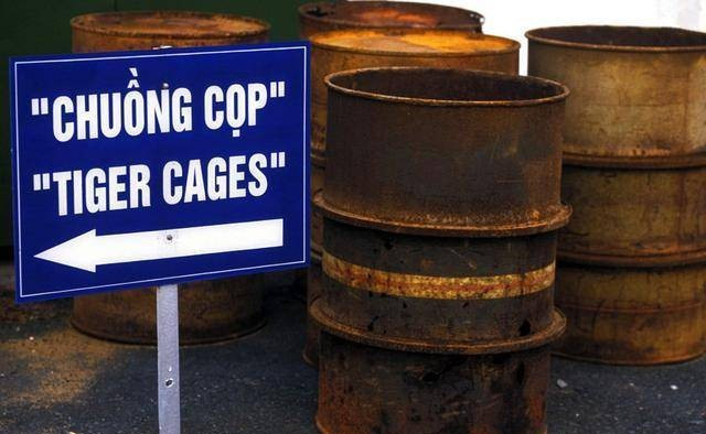 2015年出生的锥形头,巨形眼儿童.