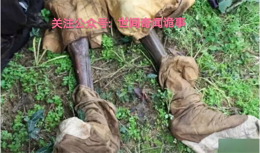 揭秘广西僵尸袭人事件