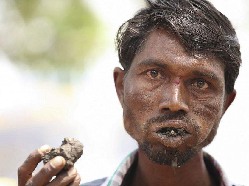 异食癖到底是因为什么原因造成的?