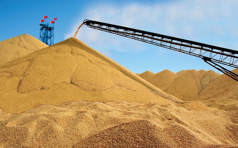 玉米检测 - 优质问答专区