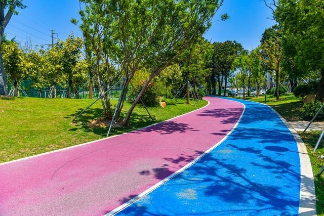 我市再添一条彩色步道 位于光明港公园南岸,蓝红相间