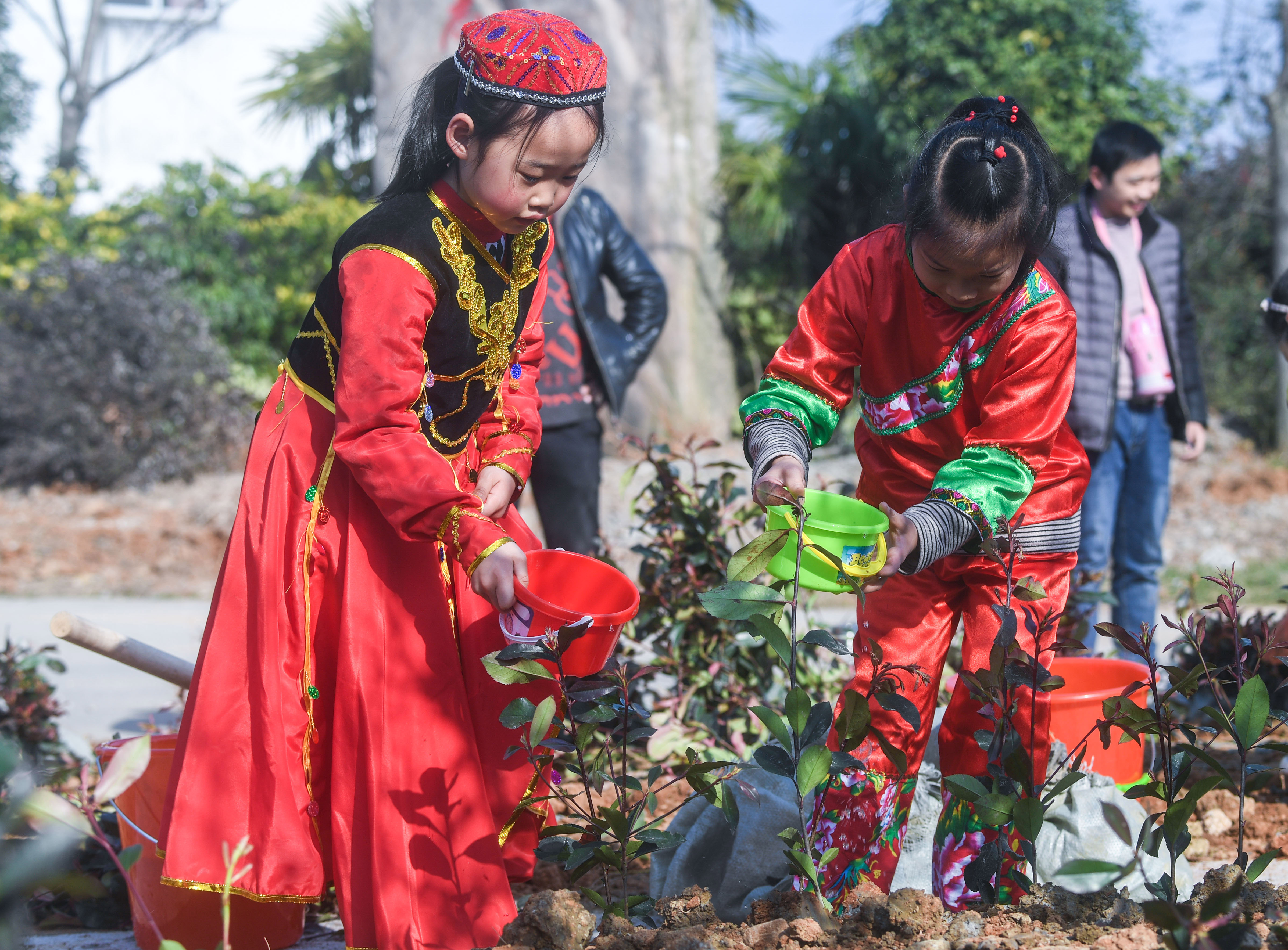 小朋友种树照片图片