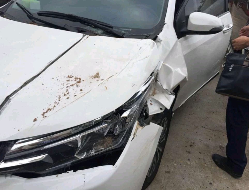 丰田卡罗拉撞车图片图片