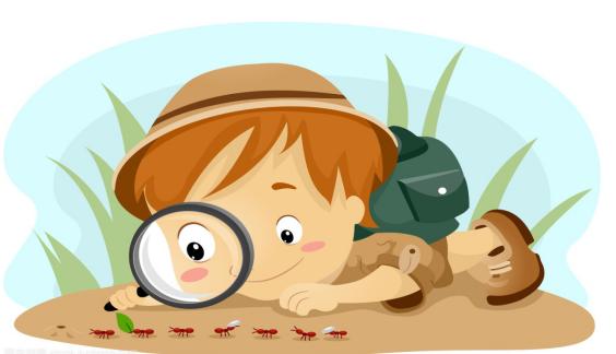 孩子观察能力弱,不妨试试这3个方法,提高观察力,培养专注力