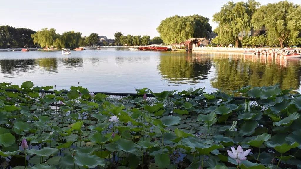 北京五环内免费景区,好玩!