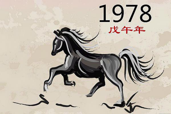 1978年屬馬的人2019年運程 78年出生的馬人豬年運勢