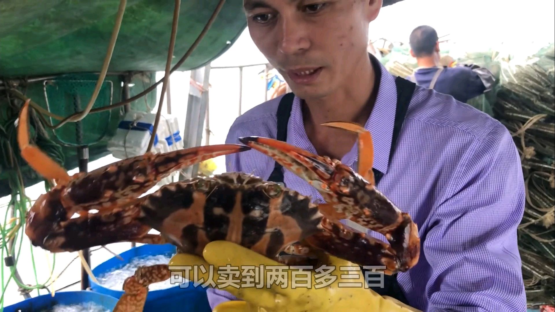 只要捉到值钱货,不管鱼货有多少,阿展都会亲自下厨煮大餐大伙吃