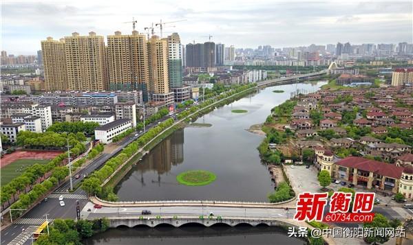 石鼓区区长刘浪:常态化"创卫"长效性"保卫"