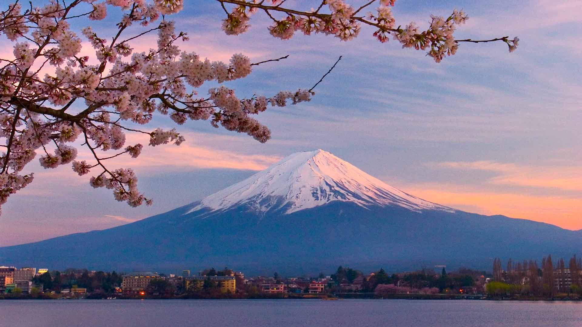 日本富士山是日本政府租来的