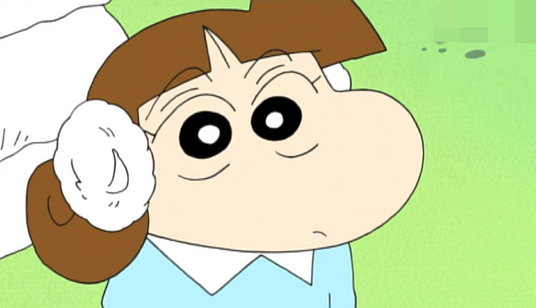 蜡笔小新中的"白神"小白有孩子啦!是两个可爱的小奶狗哦