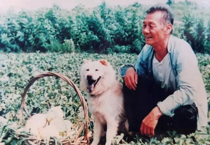 茂源老汉田成仁去世,享年94岁,在他面前,所有的鲜花奖杯都失色