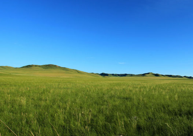 速度与激情4完整版，速度与激情 4 完整版高清资源震撼上线全网热播引发观影热潮