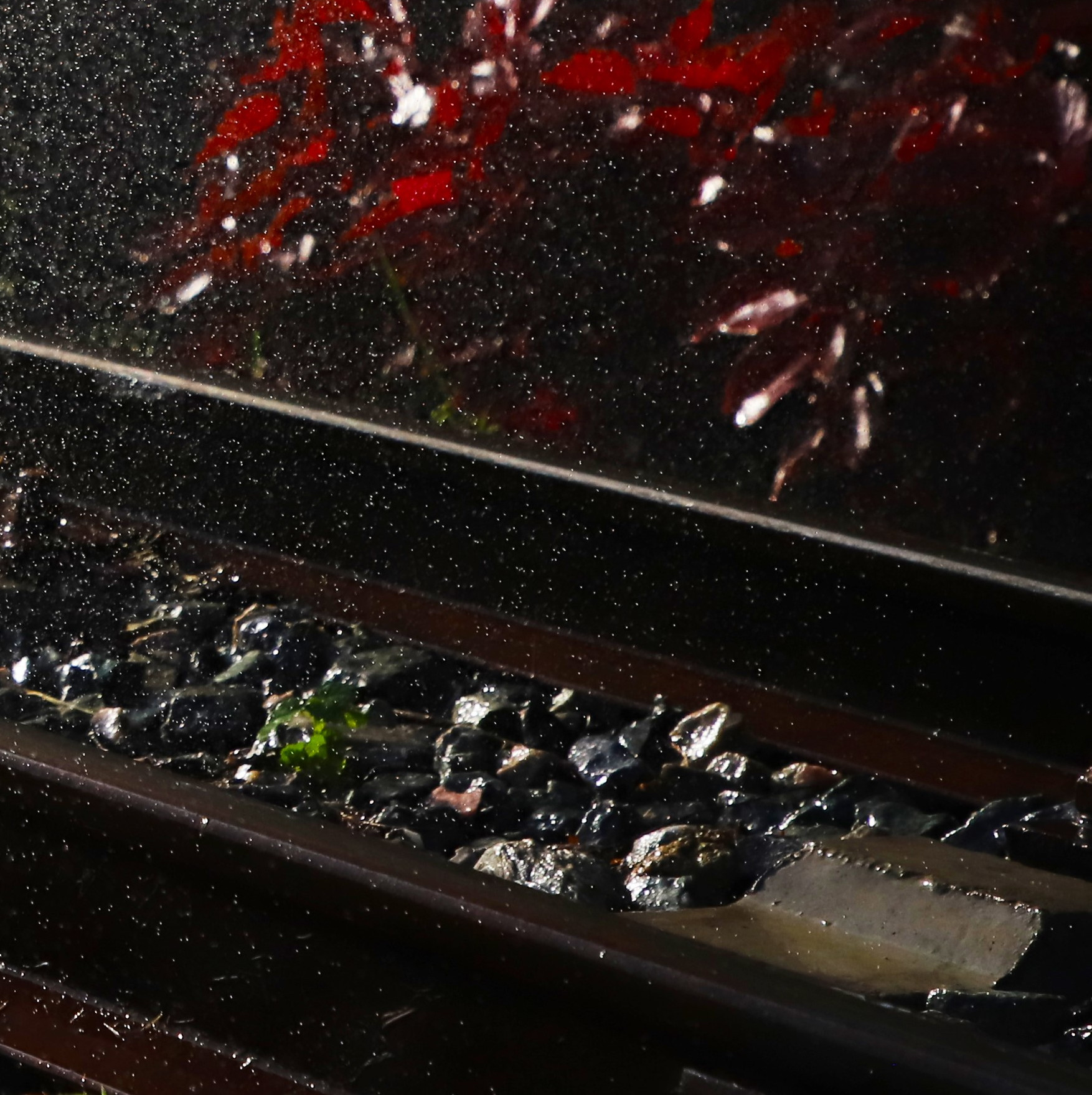 马云爸爸看了三遍的《绿皮书》讲的是什么?