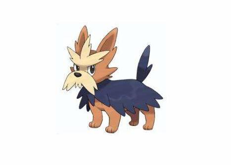 《精灵宝可梦》图鉴507:和人类生活了很长时间的精灵——哈约克