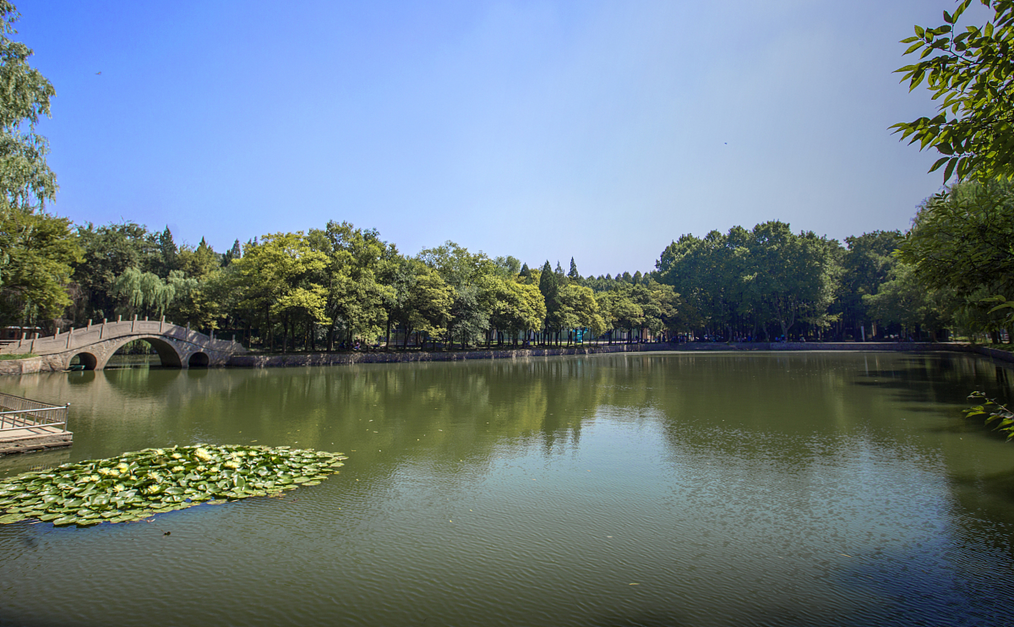 南京理工大学 美景图片