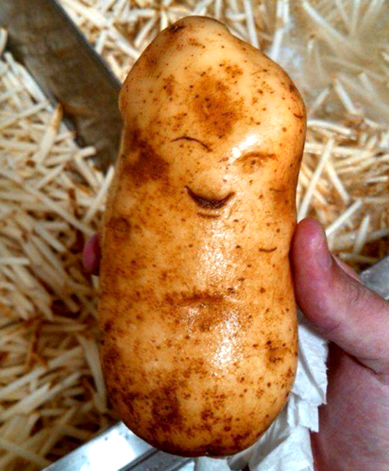 这位土豆哥大概是知道自己的命运就是要被吃了吧,看起来很不开心的