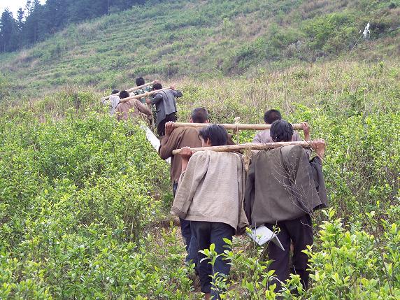 农村俗语"抬杠",现在人常说的"杠精""杠灵"咋来的知道吗?