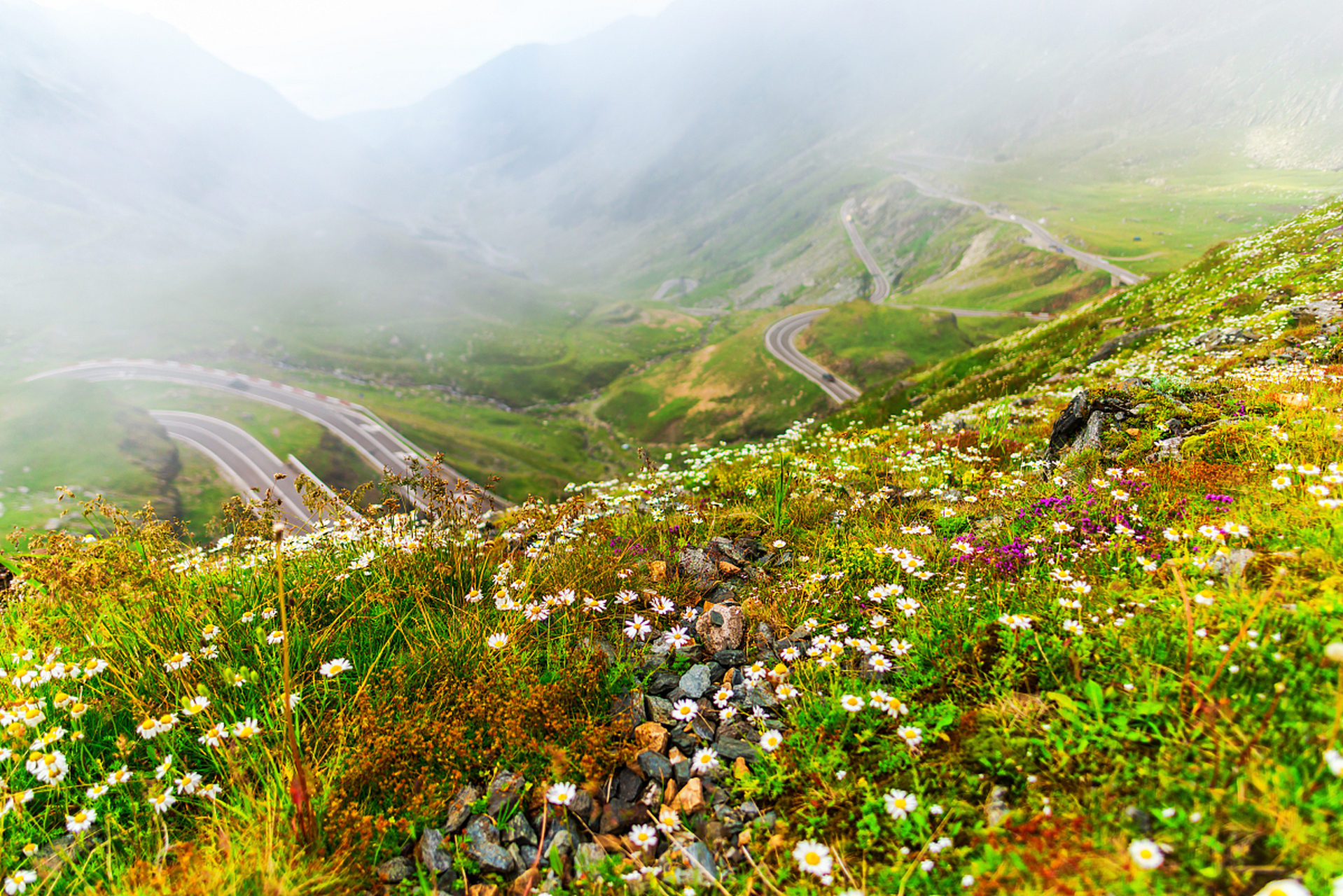 云南大理的无量山,国家级自然保护区的绝美秘境等你来探秘.