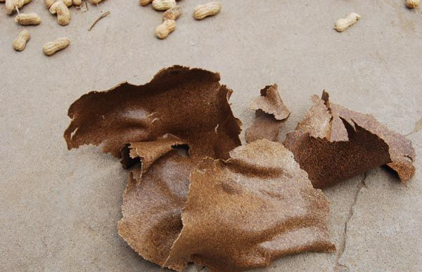 自制花生枯钓鱼窝料,简单方便效果好