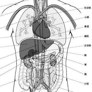 齐鲁网12月4日讯你能说出《医脉相承》 五行团所坐的位置代表哪五脏