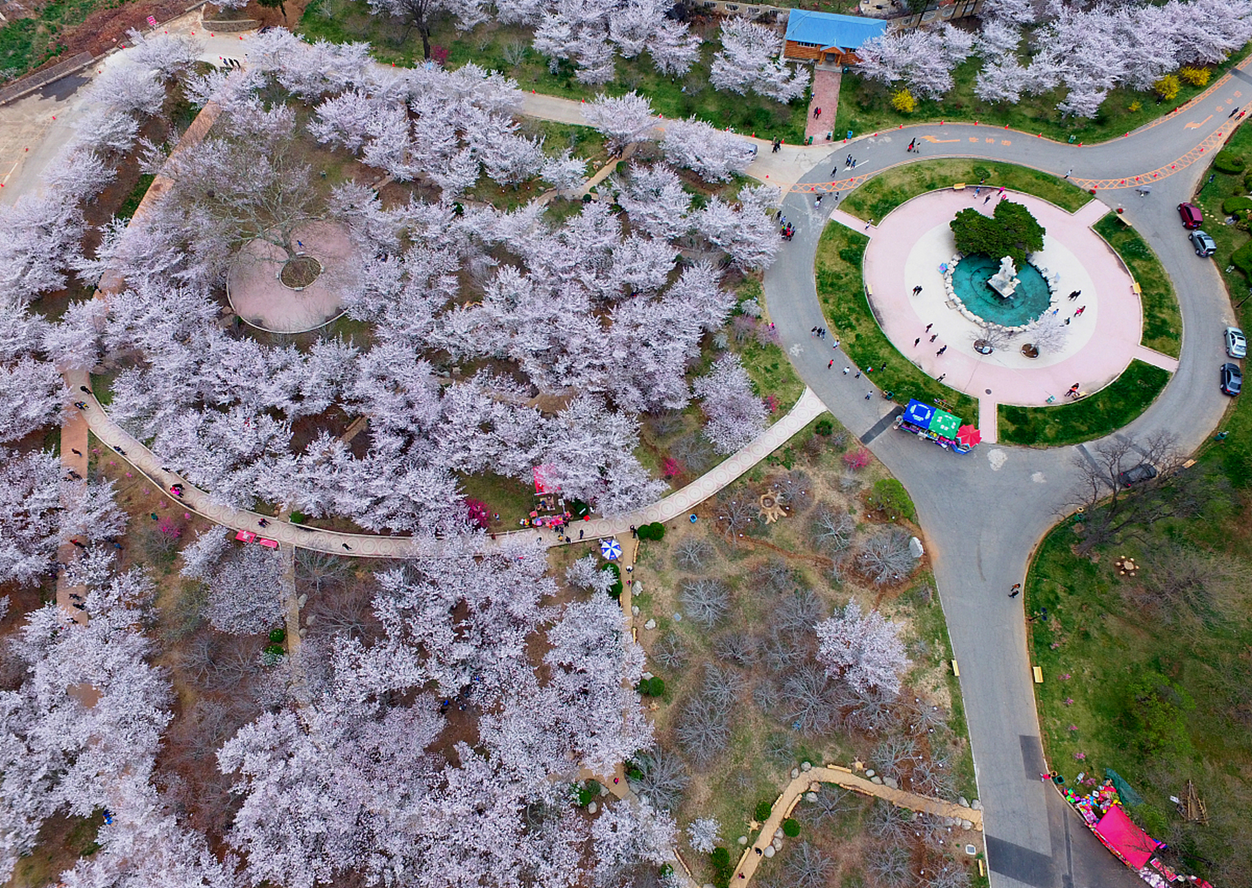 你们听说过郑州古柏渡丰乐樱花园吗?