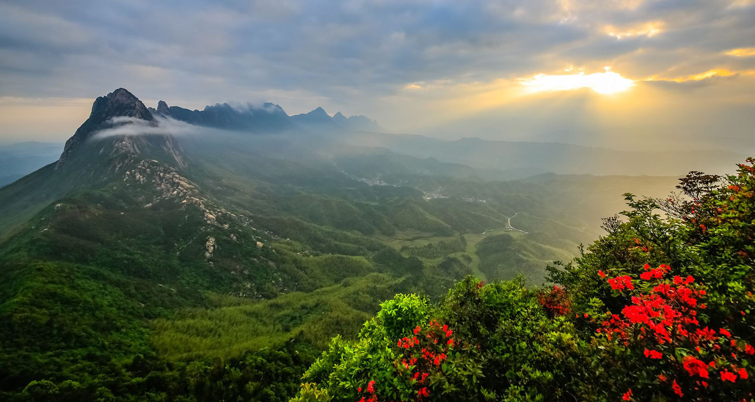 江西灵山,这条蛇竟然趴在龟的背上,啥意思?