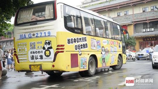 超萌!熊猫巴士在路上 成都全城偶遇国宝