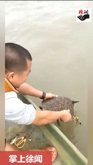 湛江一渔民抓到一只十三鳞海龟,给钱都不卖!结果