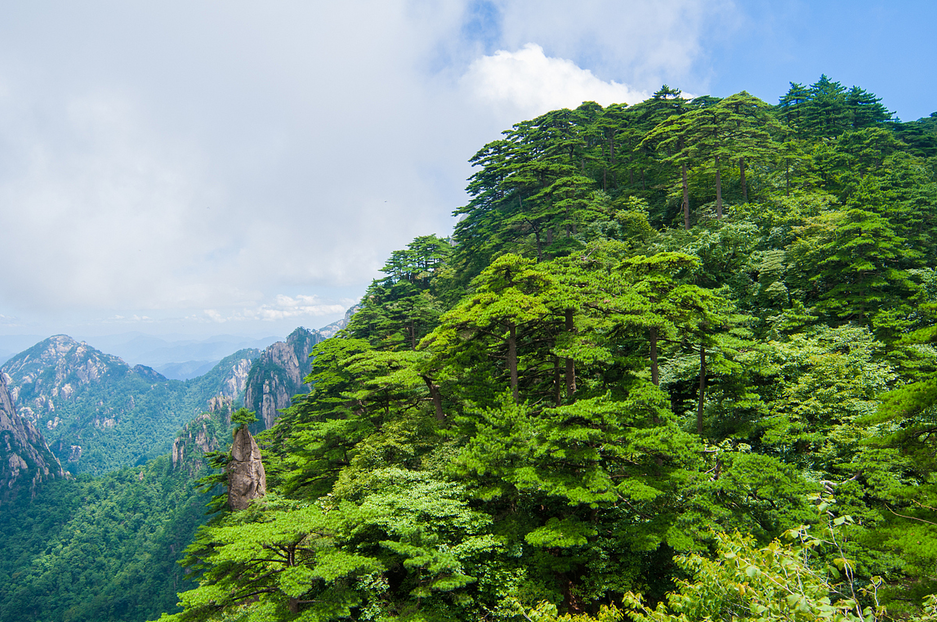 古田山保护区旅游攻略  古田山保护区,位于浙江省开化县苏庄镇,是一处