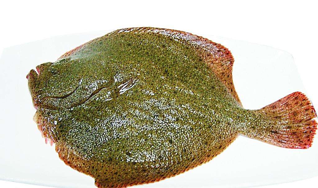 知道这是什么鱼吗?多给孩子吃补锌又补钙,吃嘛嘛香