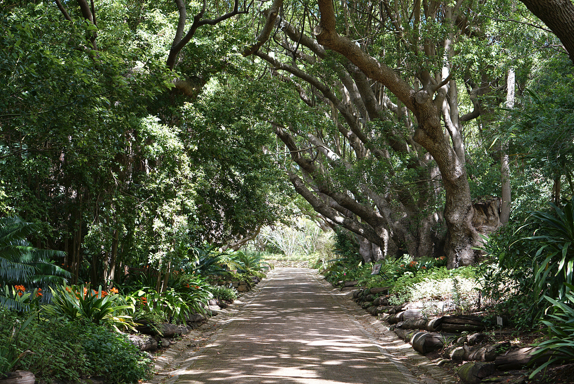 [原文:昆明海口林场森林公园:概.