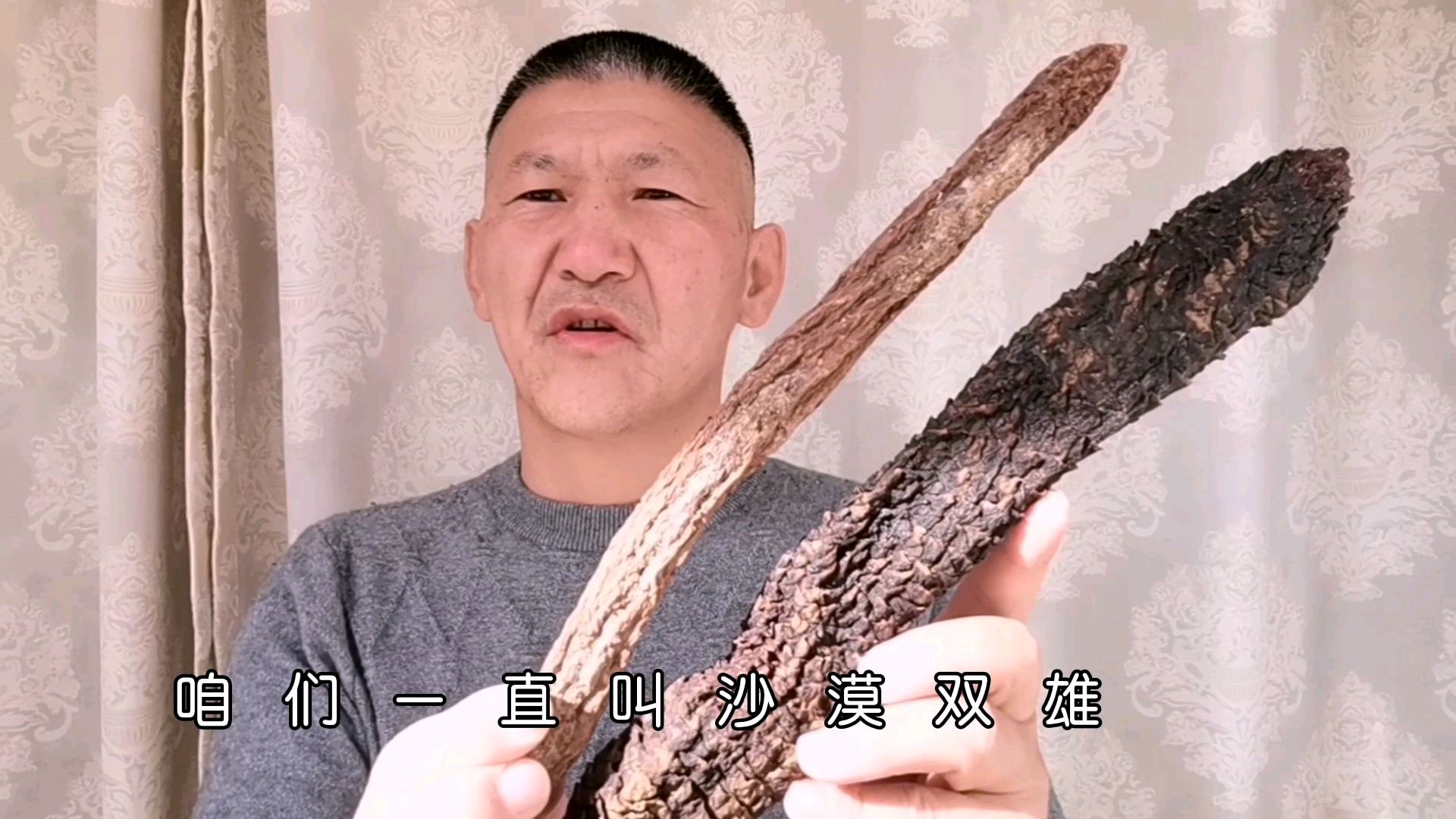 整根苁蓉和锁阳怎么分辨,苁蓉和锁阳切片的区别。