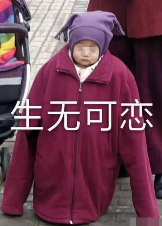 有种冷叫"奶奶觉得你冷","裹"得亲妈认不出来,网友:是亲奶奶