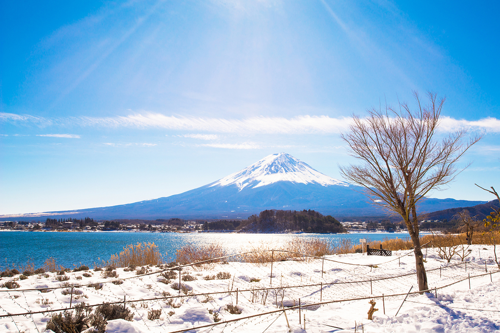 畅游日本最北端的北海道,感受四季更替的壮美风光,品味新鲜美味.