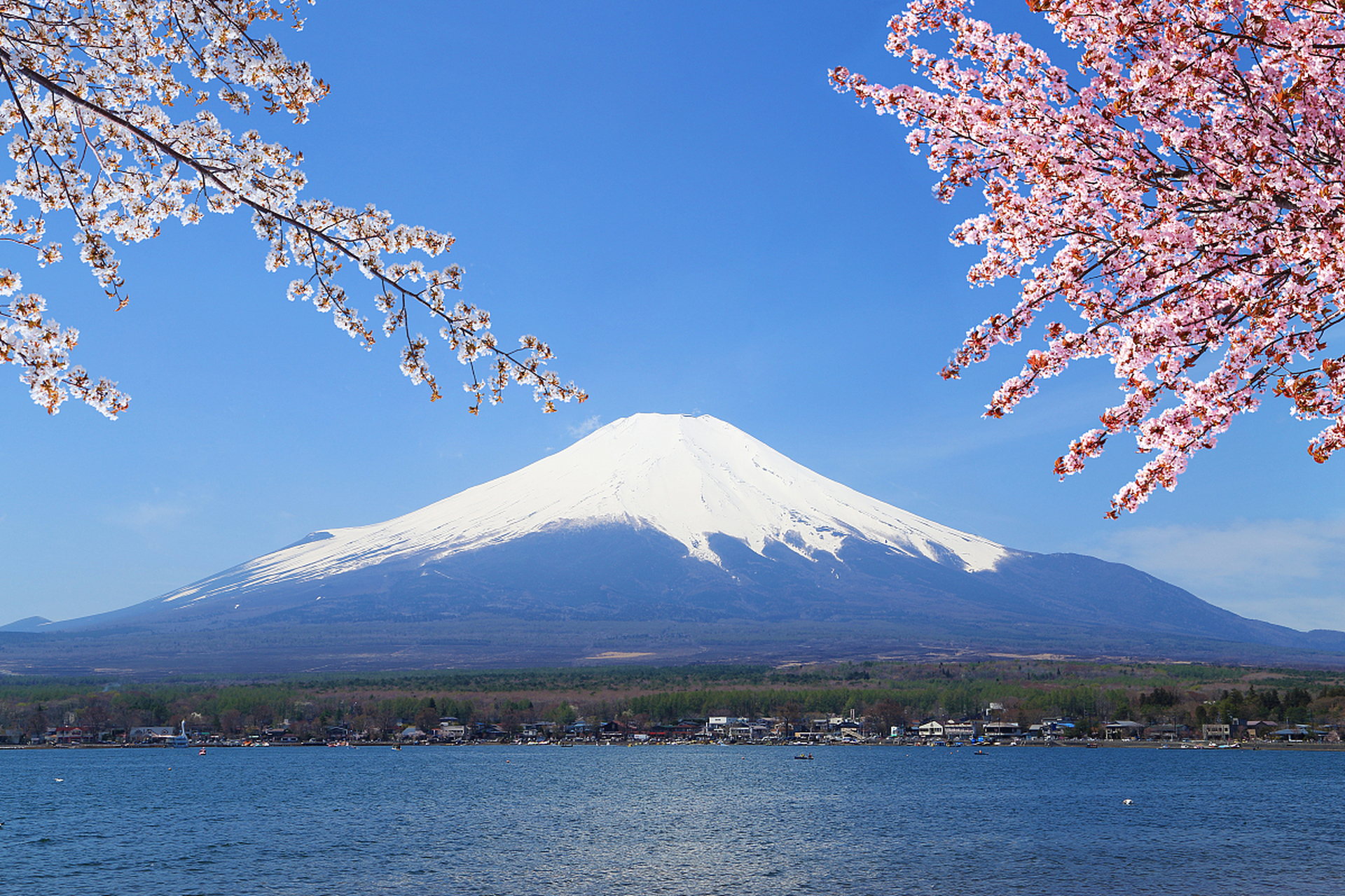 富士山是日本著名的景点之一,可以选择自驾或乘坐巴士前往