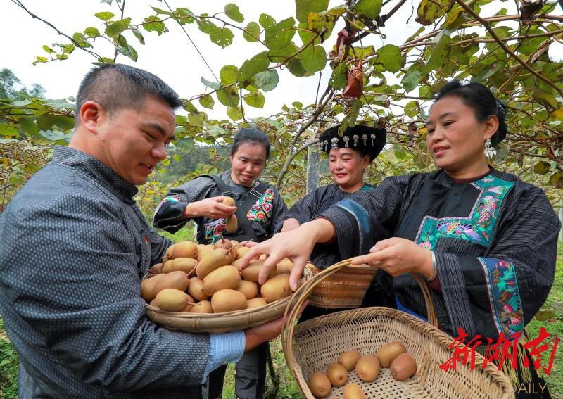 十八洞村:精准脱贫与乡村振兴有机衔接