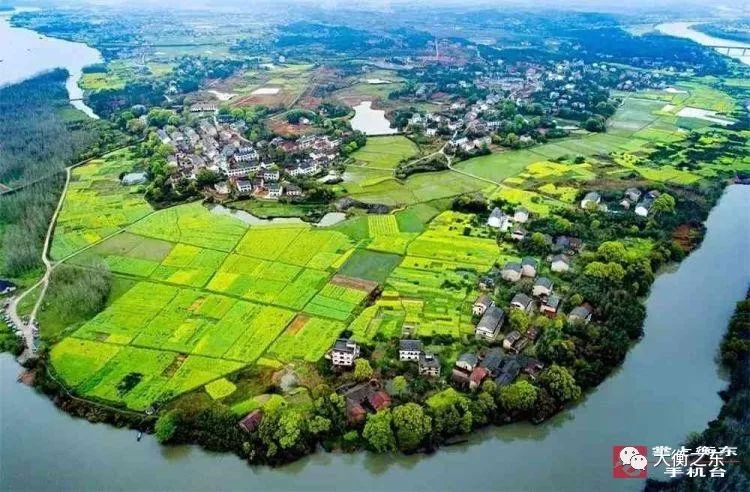 油菜花香:衡东县高湖镇"花事"正当时