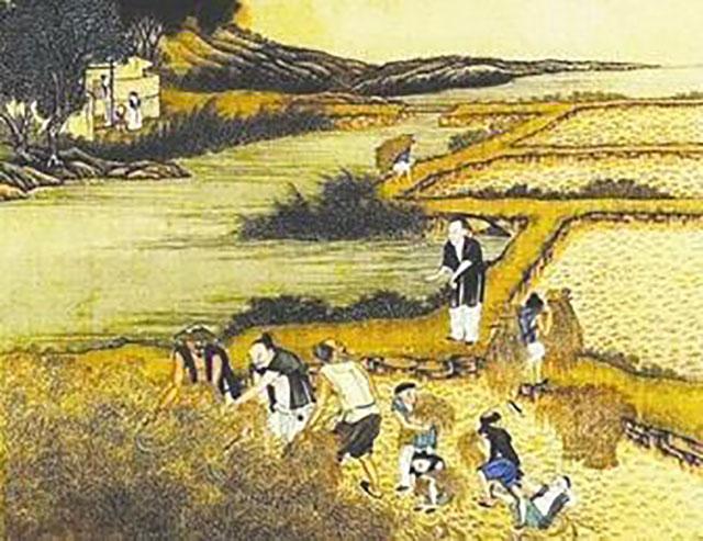 古代农村庄家图片图片