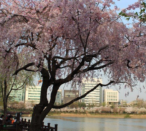 国立首尔显忠院,国立首尔显忠院,韩国国立公墓,位于首尔铜雀区铜雀洞