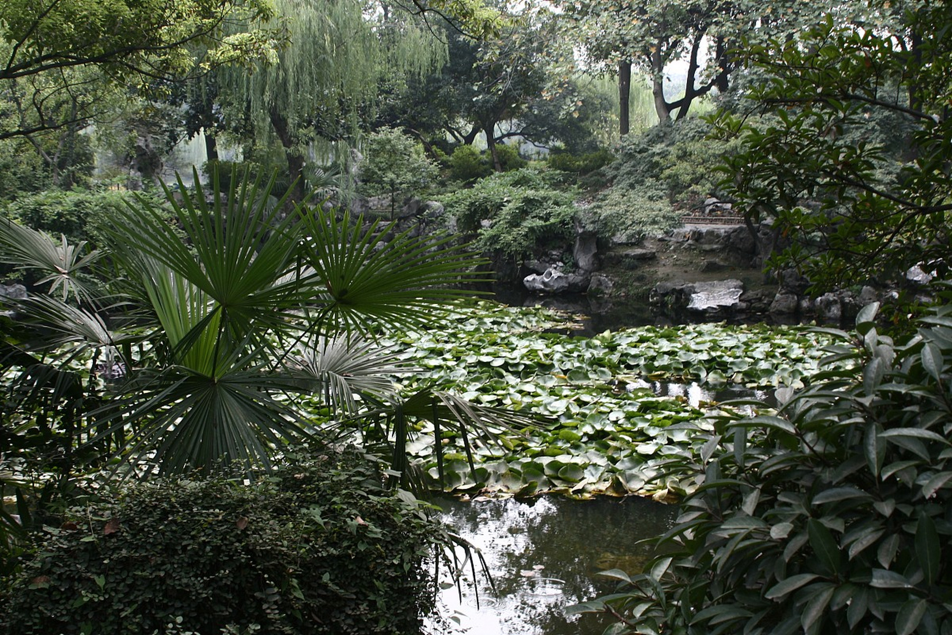 成都百花潭公园图片