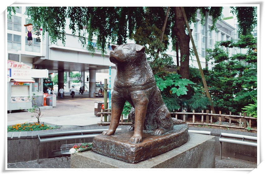 日本旅游通,恋于忠犬八公的所在地——日本涉谷,更恋于那里的人