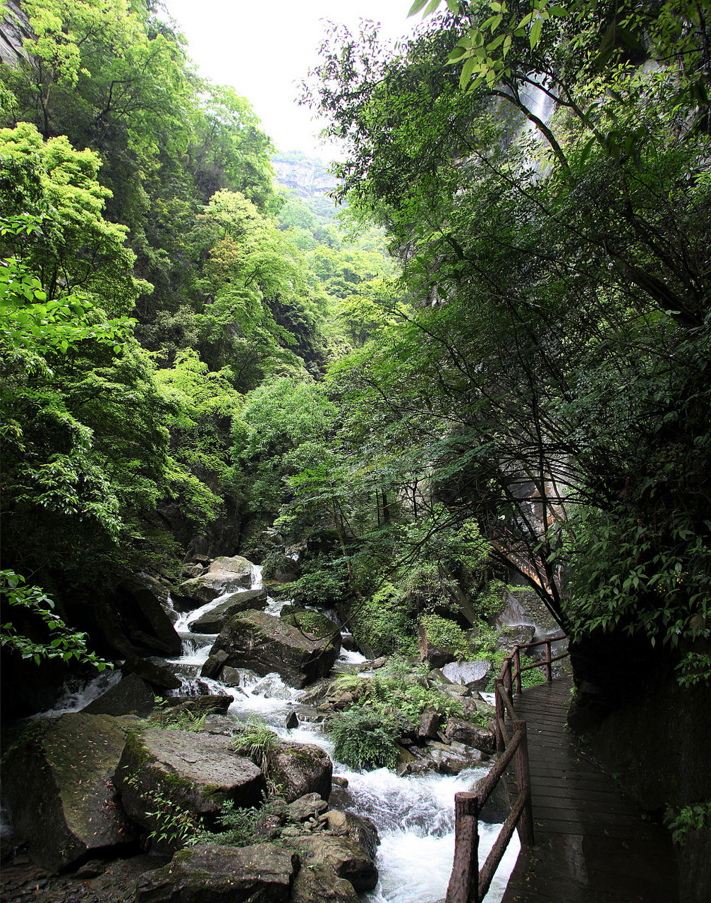 白水寨探秘记:水晶粉葛与白水仙瀑的绝美邂逅9498