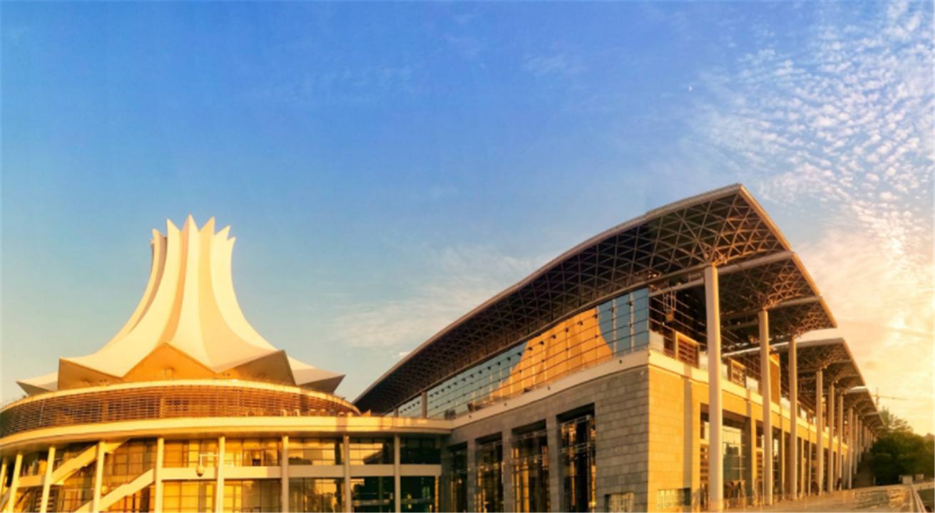 南宁东盟国际会展中心,造型独特,知道是什么花的造型吗?