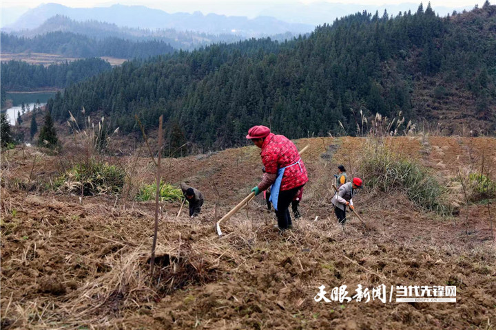 绥阳县宽阔镇图片