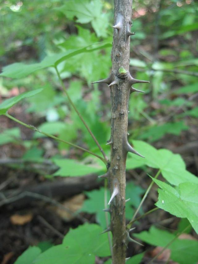 铁钉- 热门商品专区